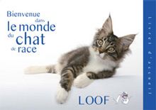 Livret d'acceuil du chat de race
